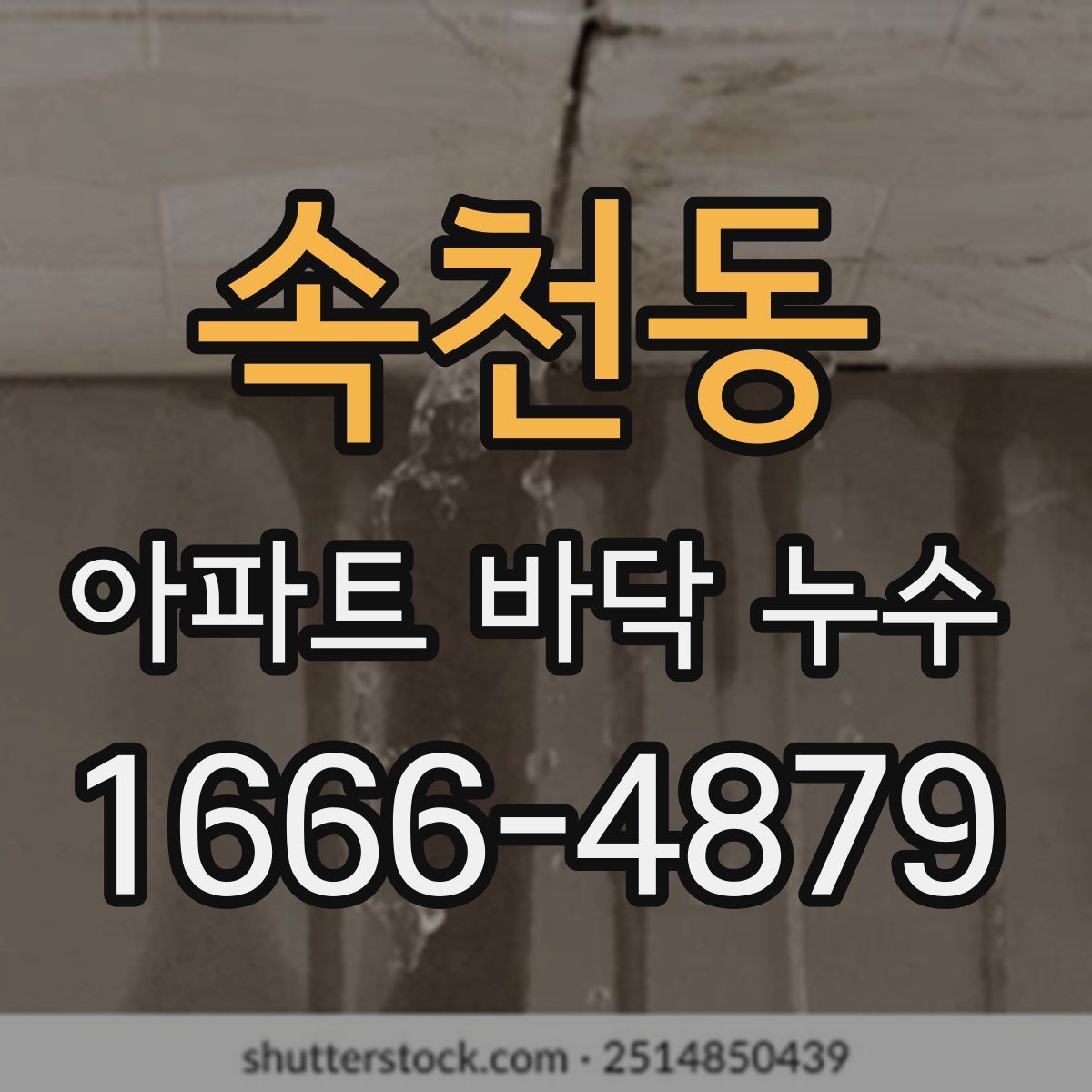 속천동 아파트 바닥 누수