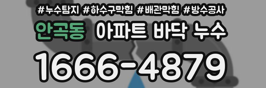 안곡동 아파트 바닥 누수