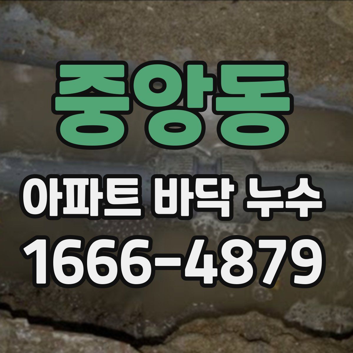 중앙동 아파트 바닥 누수