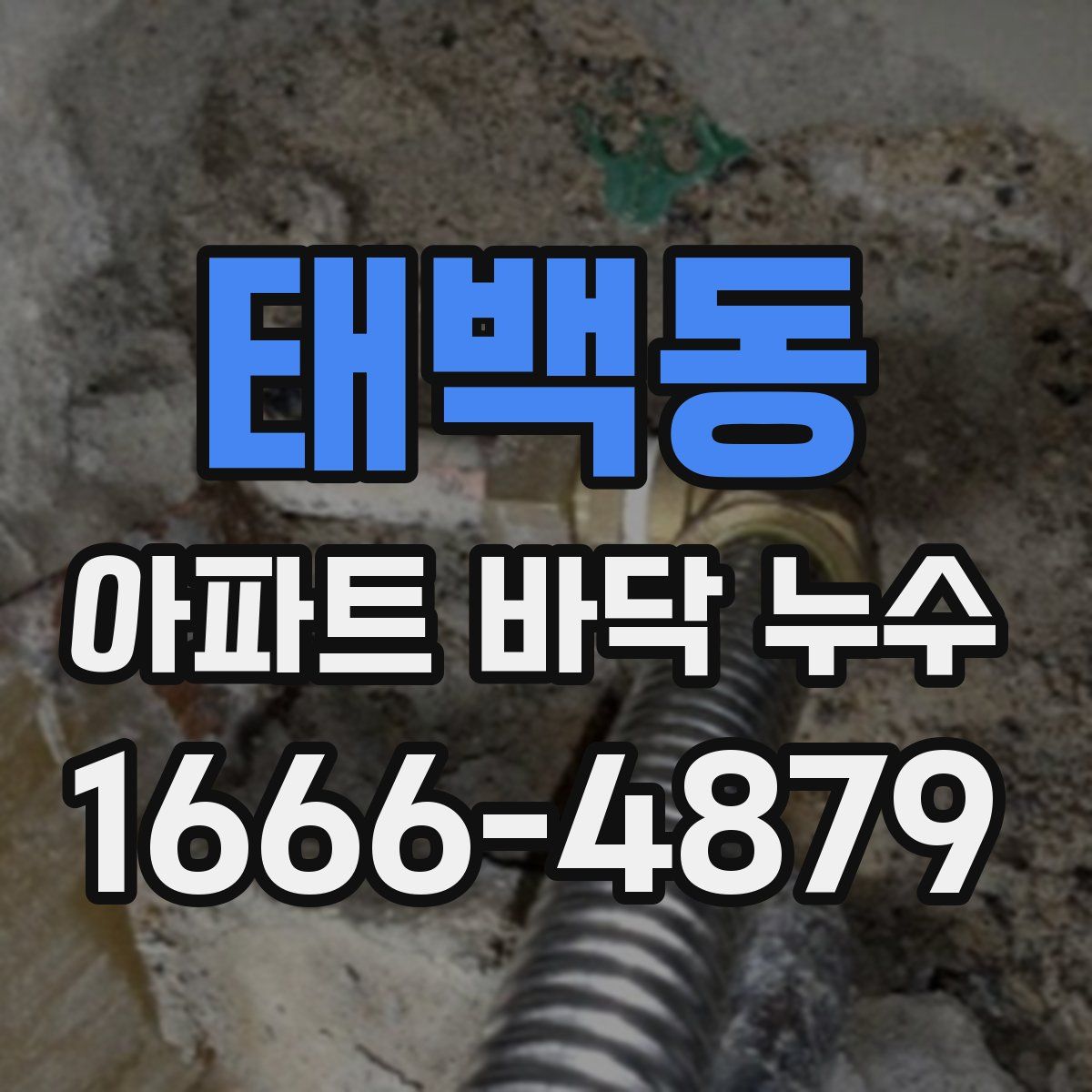 태백동 아파트 바닥 누수
