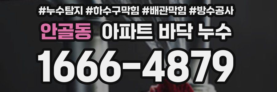 안골동 아파트 바닥 누수