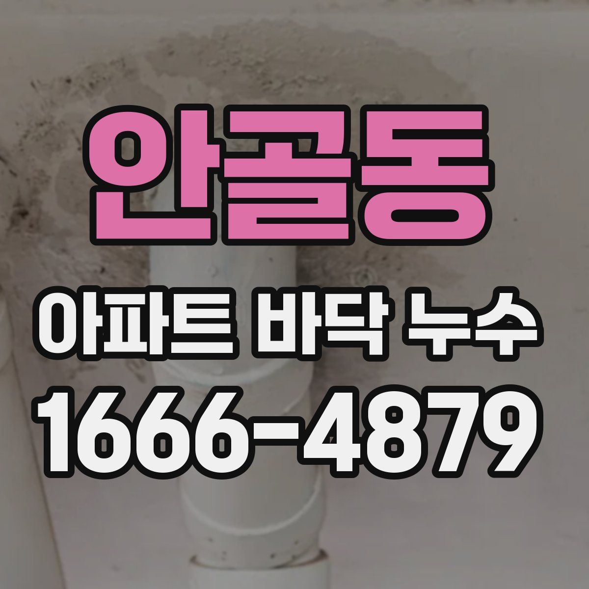안골동 아파트 바닥 누수