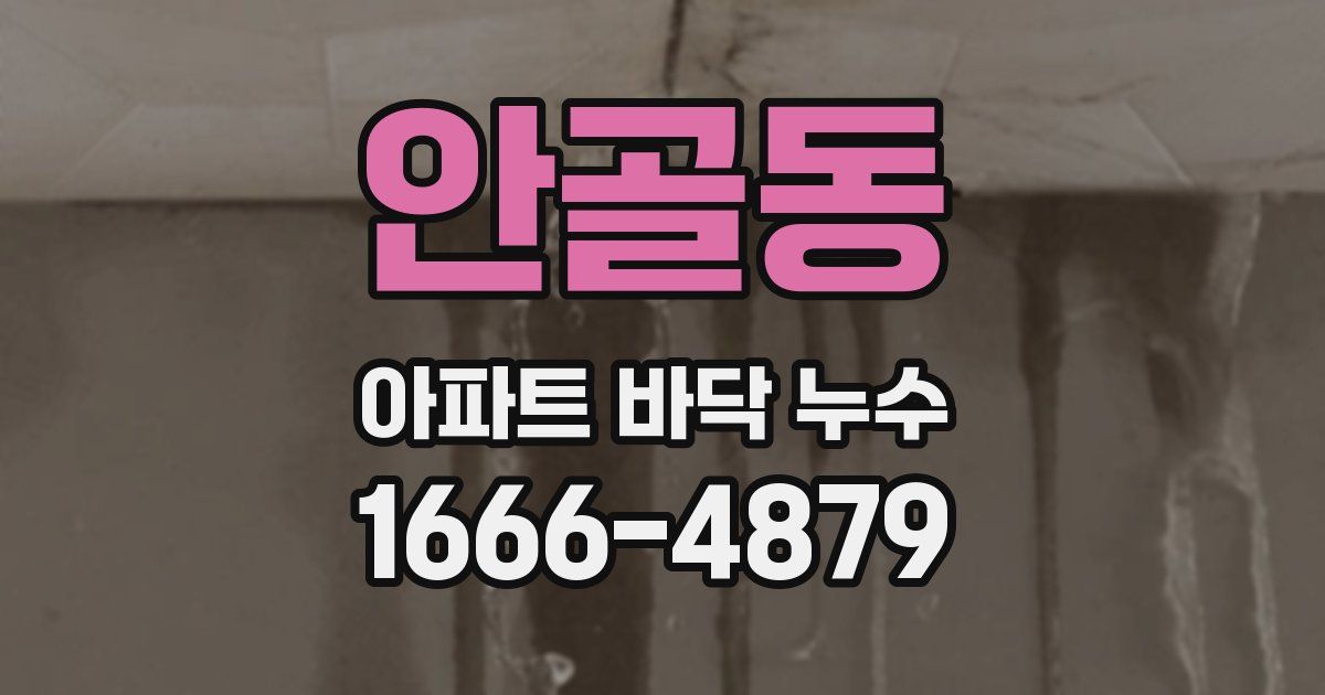 안골동 아파트 바닥 누수