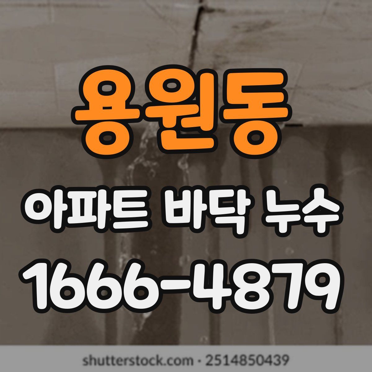 용원동 아파트 바닥 누수
