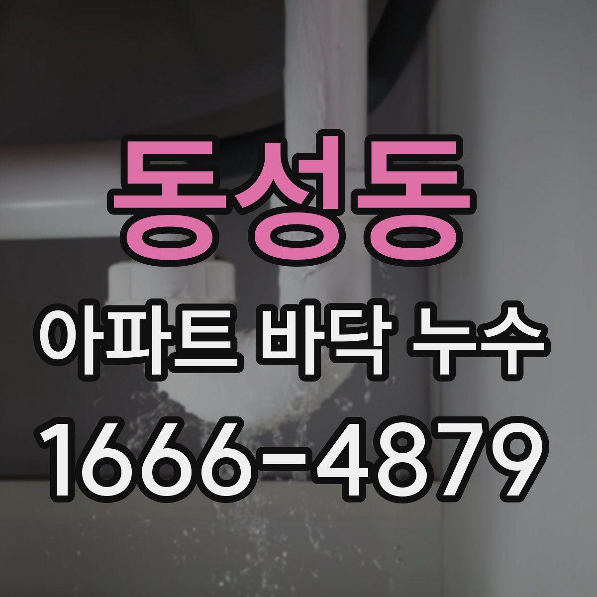 동성동 아파트 바닥 누수