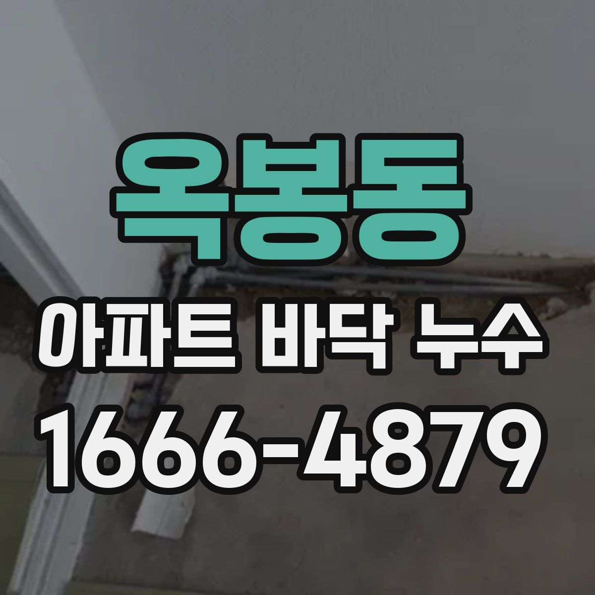 옥봉동 아파트 바닥 누수