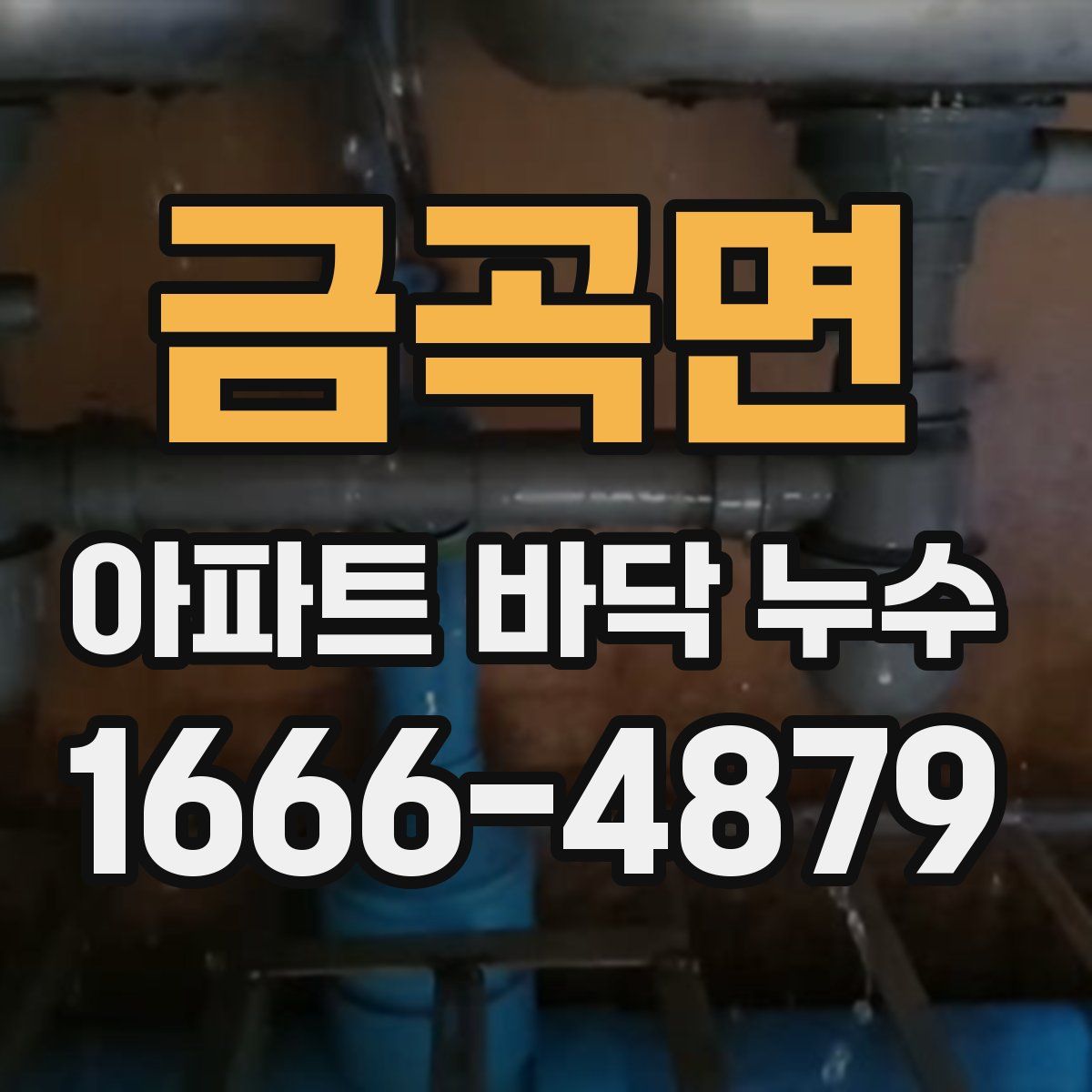 금곡면 아파트 바닥 누수