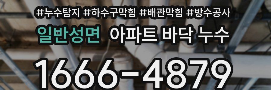 일반성면 아파트 바닥 누수