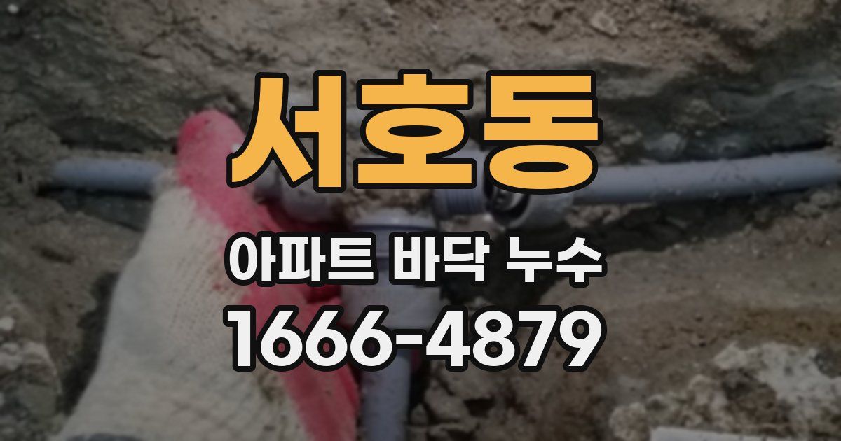 서호동 아파트 바닥 누수