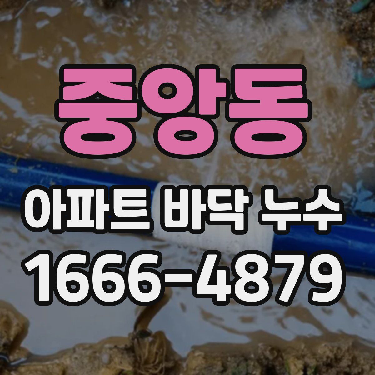 중앙동 아파트 바닥 누수