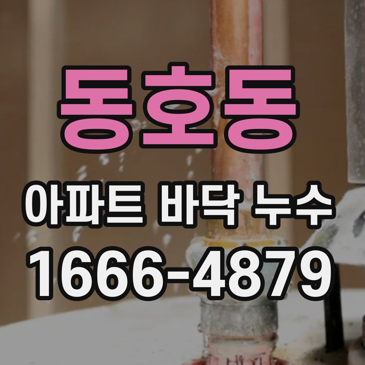 동호동 아파트 바닥 누수