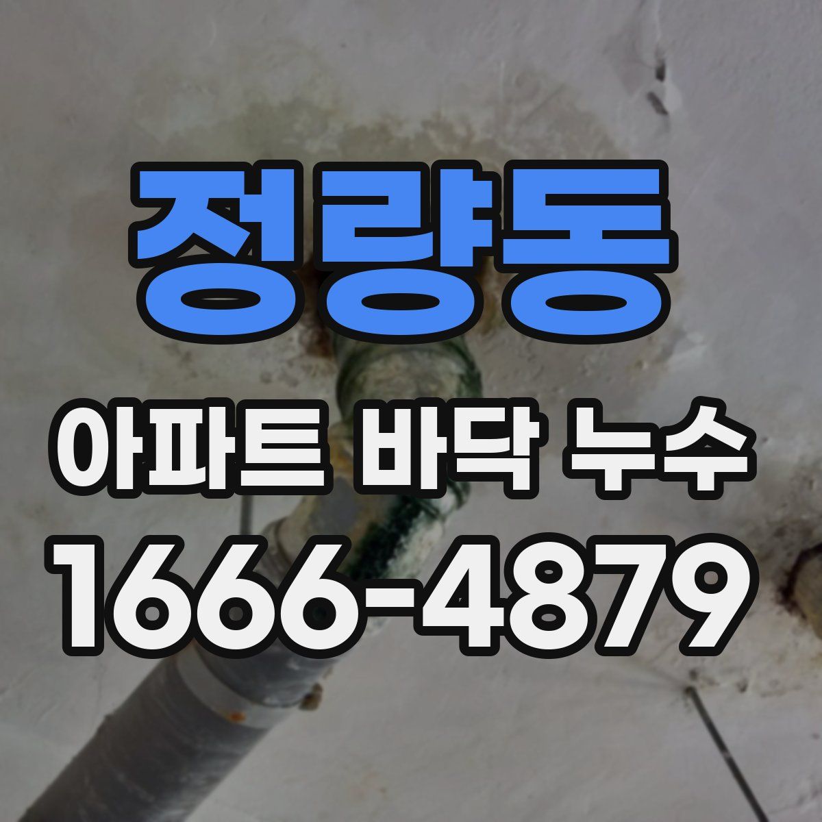 정량동 아파트 바닥 누수