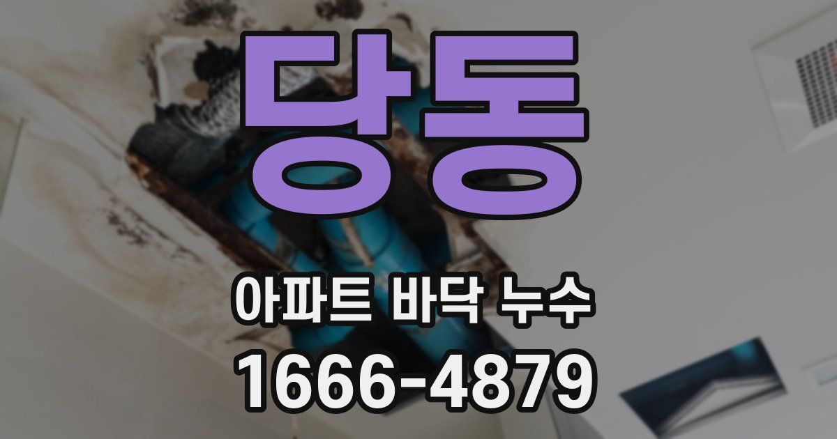 당동 아파트 바닥 누수