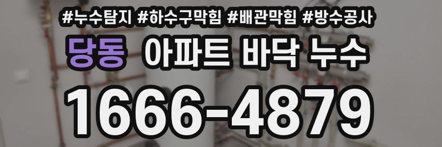 당동 아파트 바닥 누수