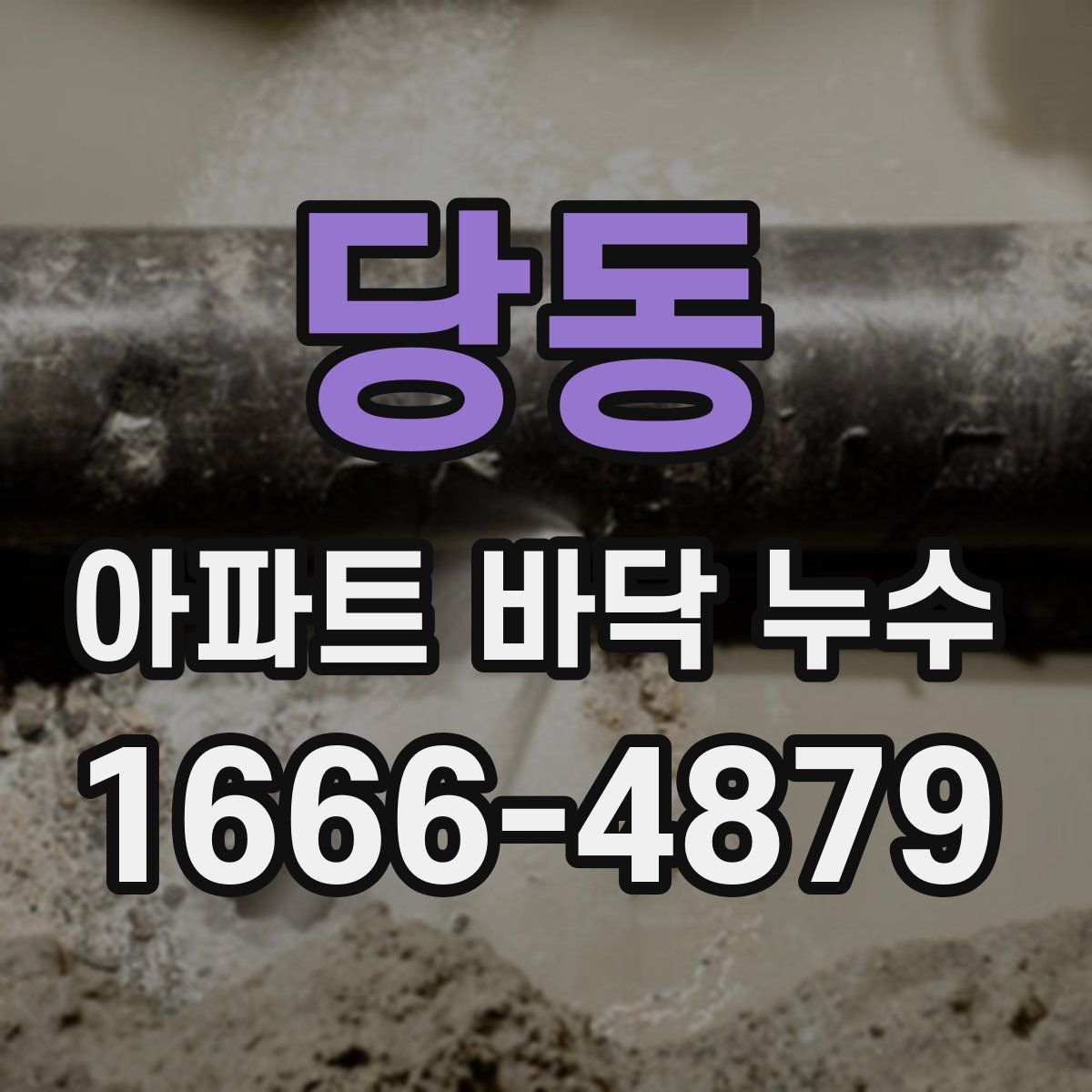 당동 아파트 바닥 누수