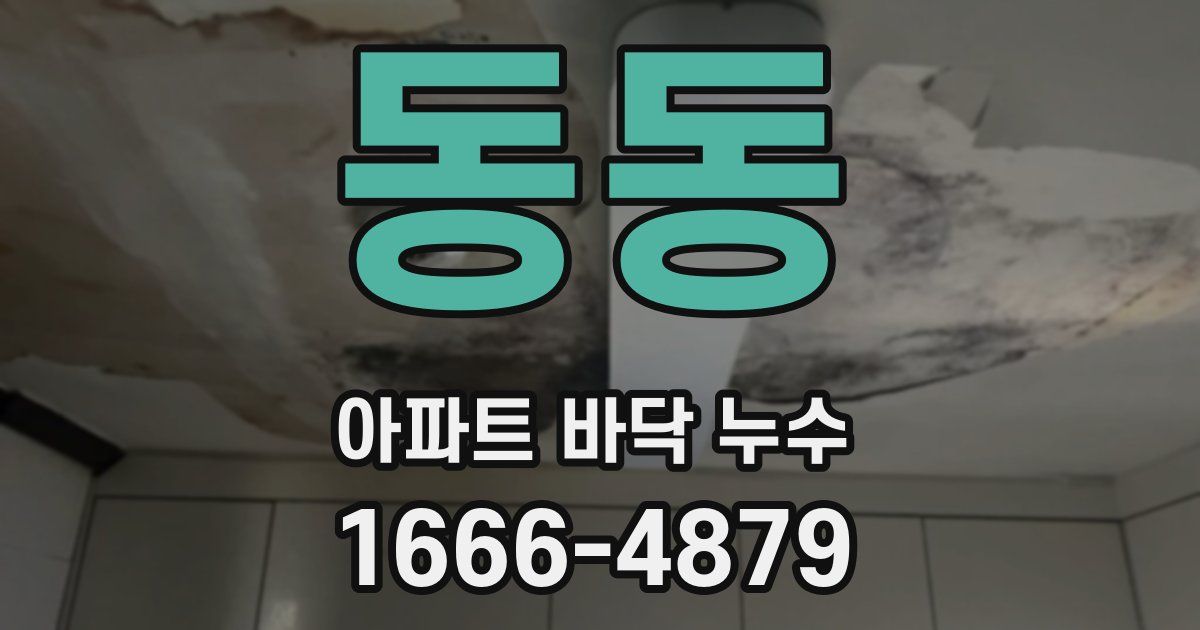 동동 아파트 바닥 누수