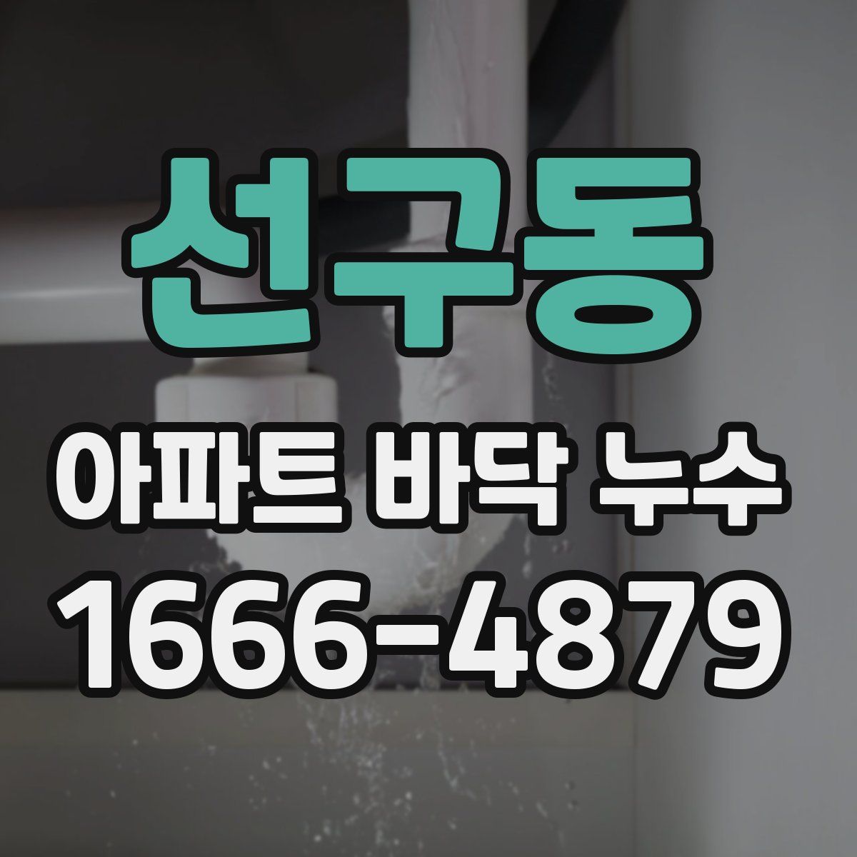 선구동 아파트 바닥 누수