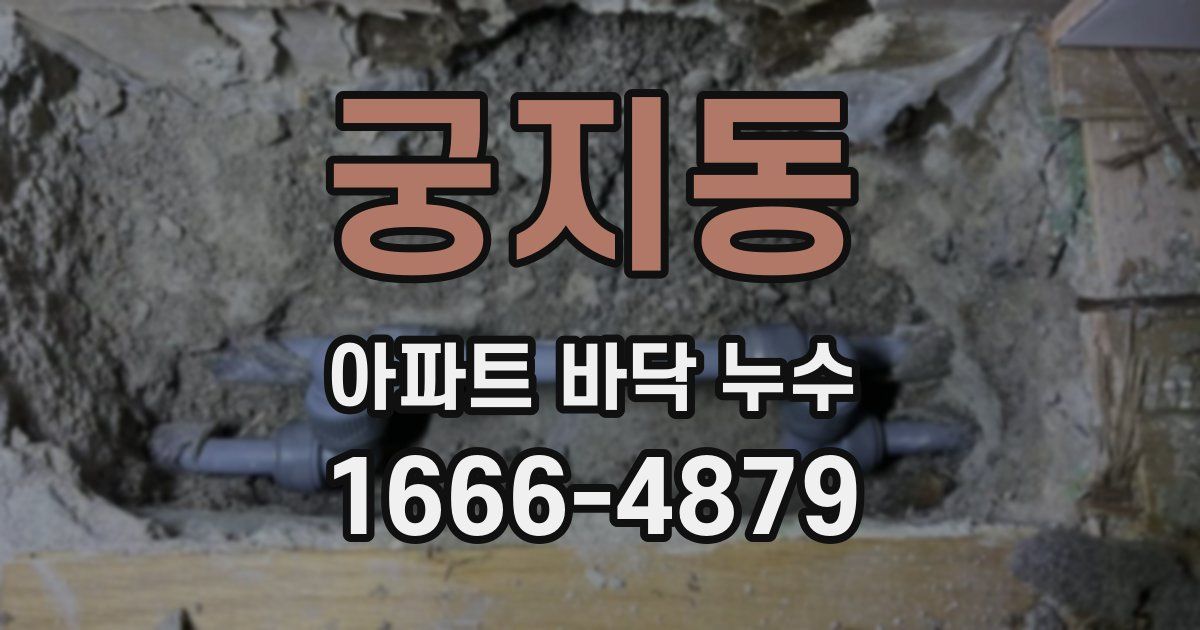 궁지동 아파트 바닥 누수