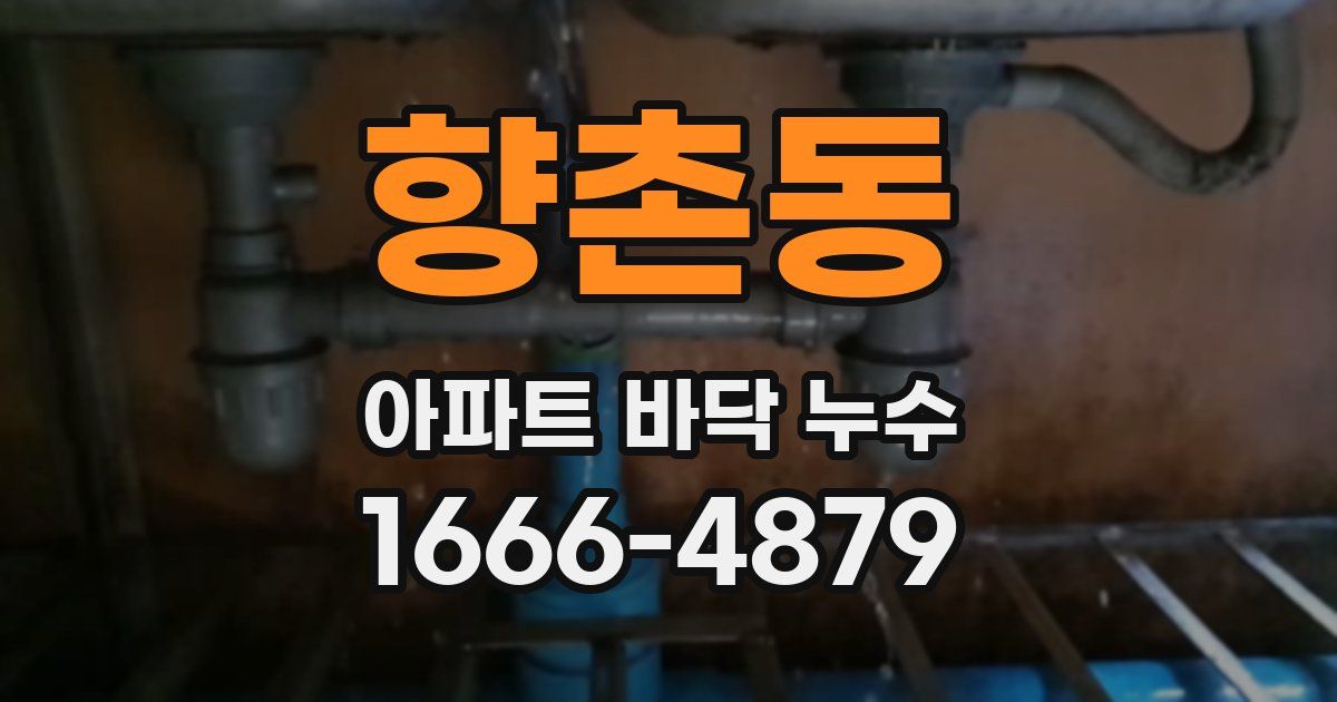 향촌동 아파트 바닥 누수