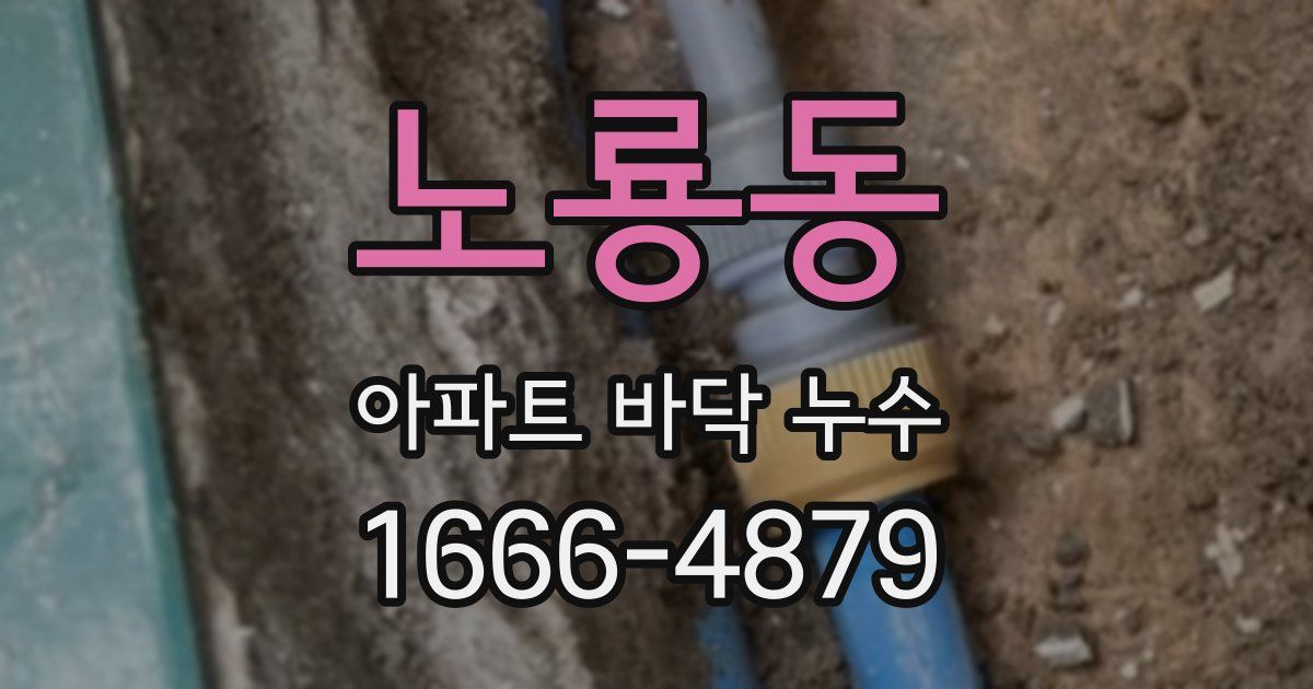 노룡동 아파트 바닥 누수