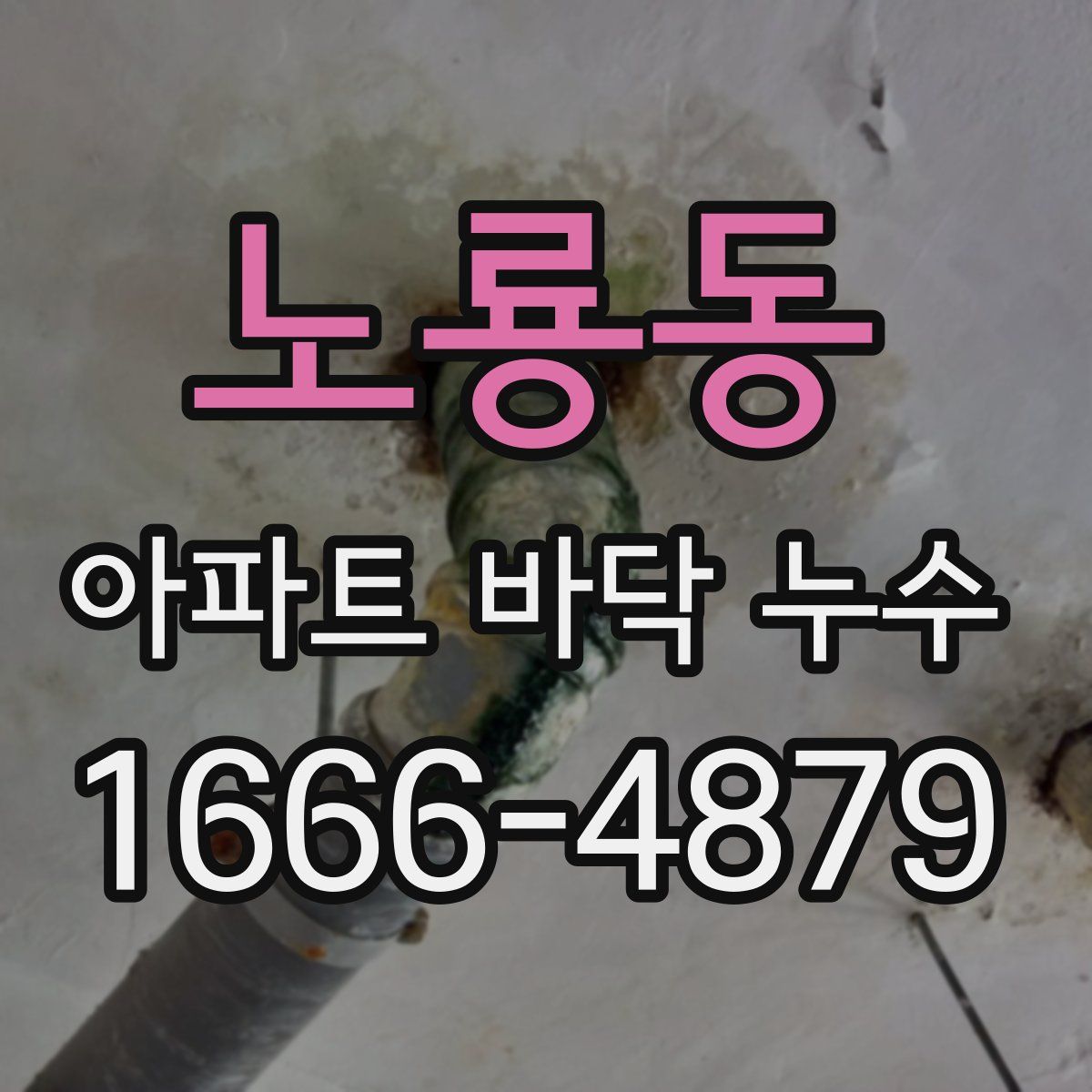 노룡동 아파트 바닥 누수
