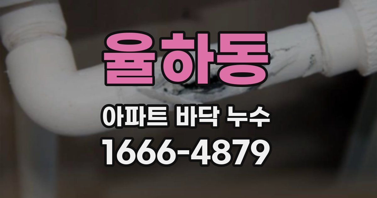율하동 아파트 바닥 누수