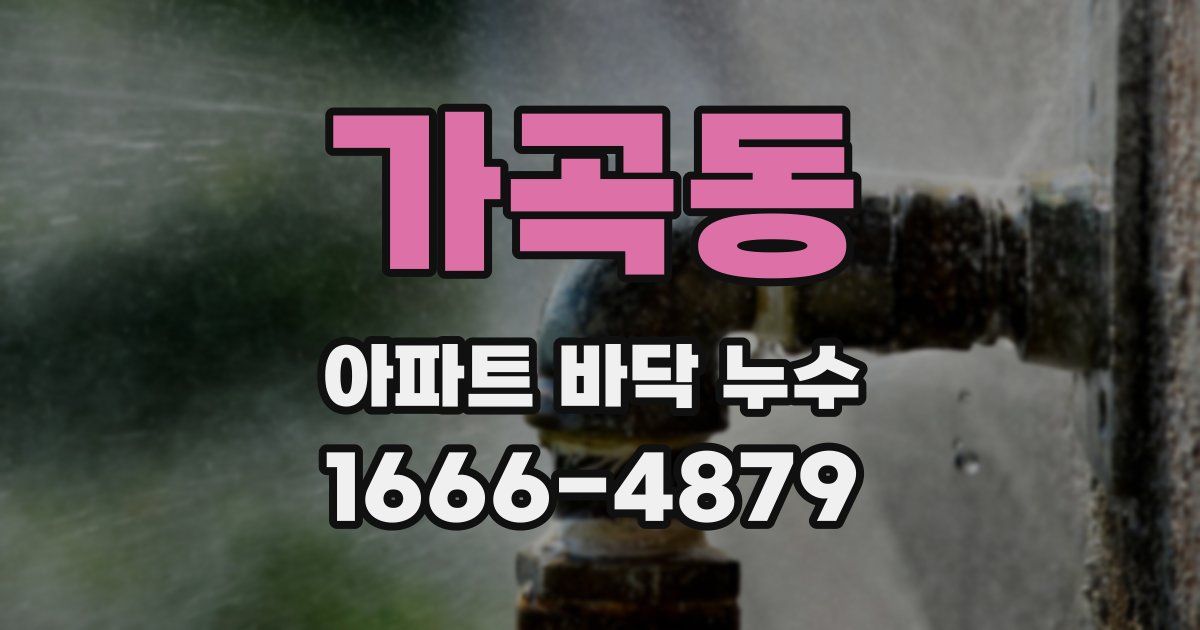 가곡동 아파트 바닥 누수