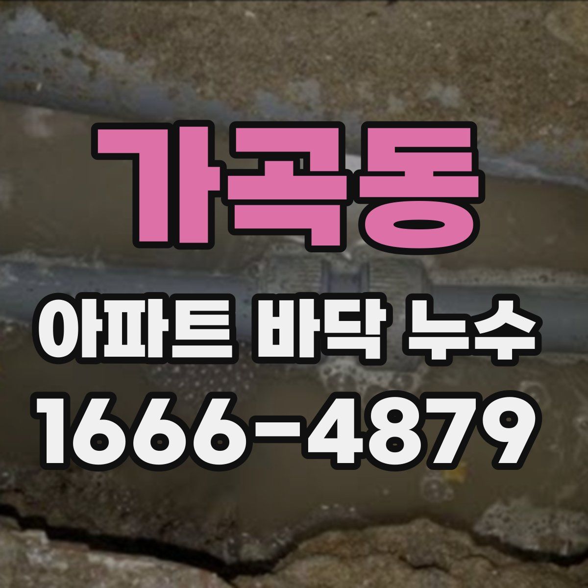 가곡동 아파트 바닥 누수