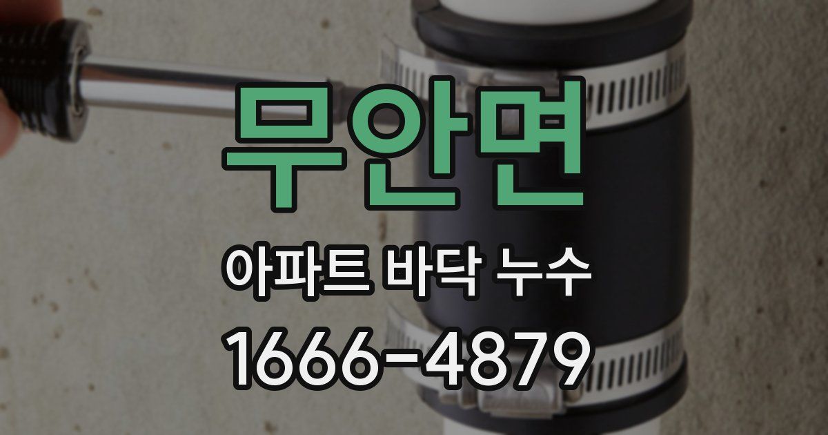 무안면 아파트 바닥 누수