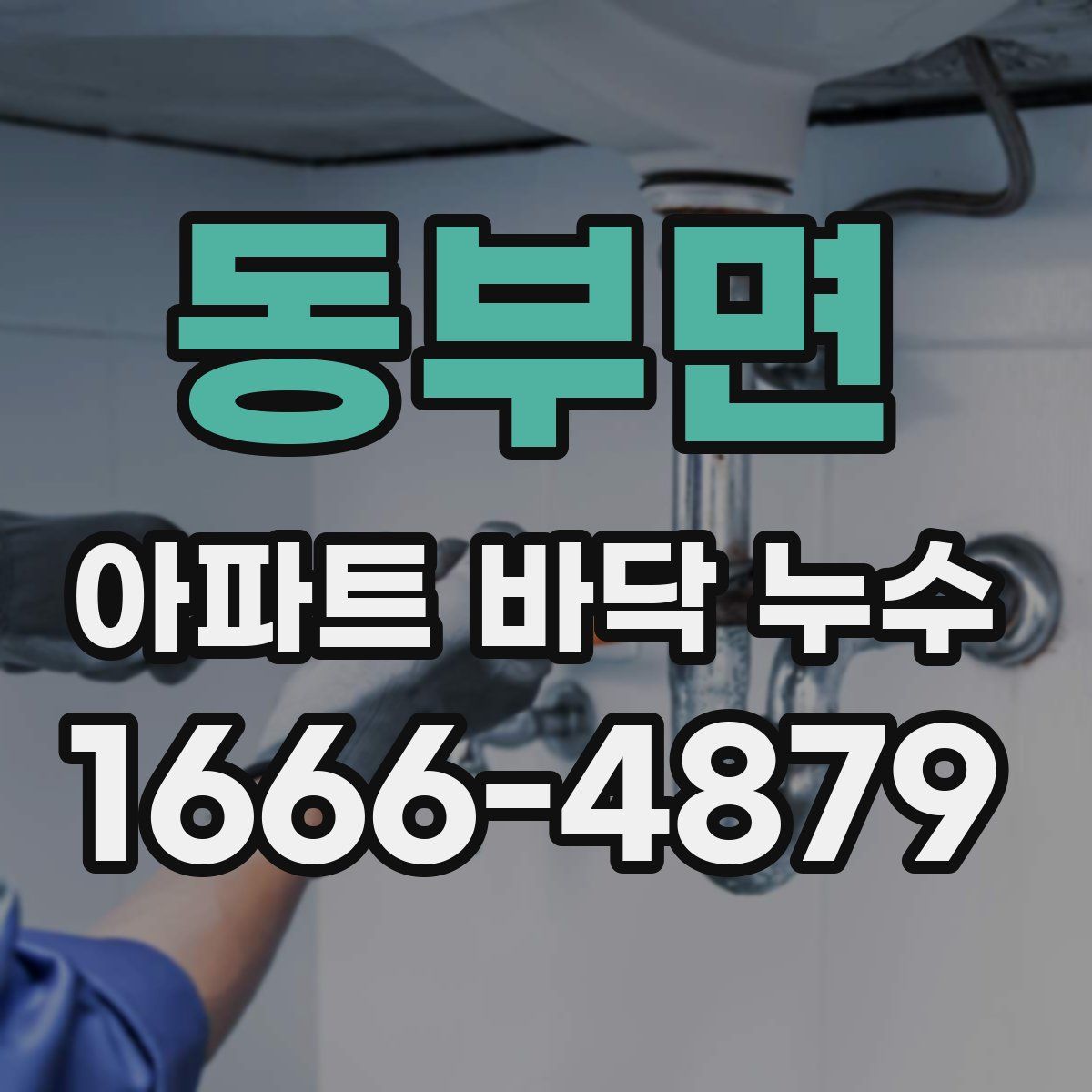 동부면 아파트 바닥 누수