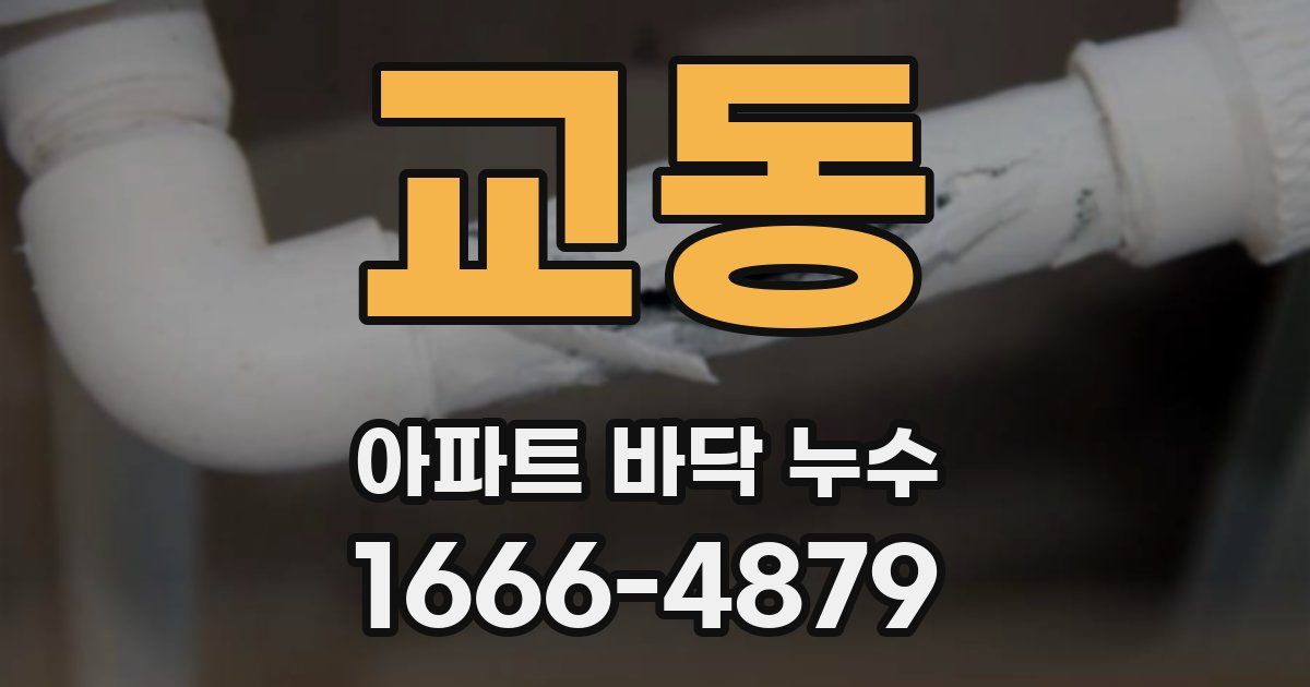 교동 아파트 바닥 누수