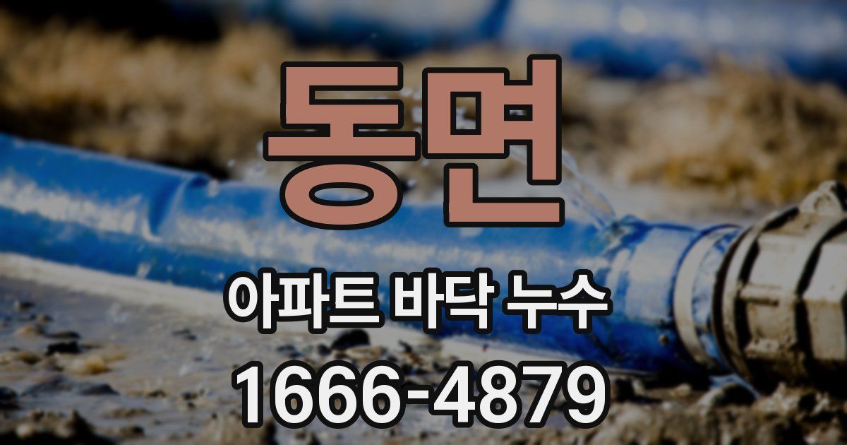 동면 아파트 바닥 누수