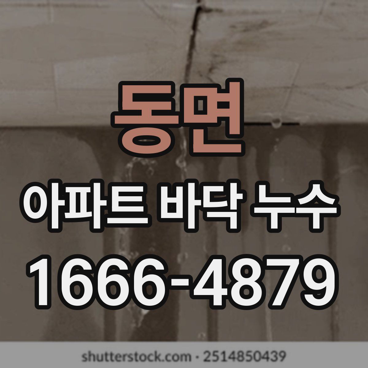 동면 아파트 바닥 누수