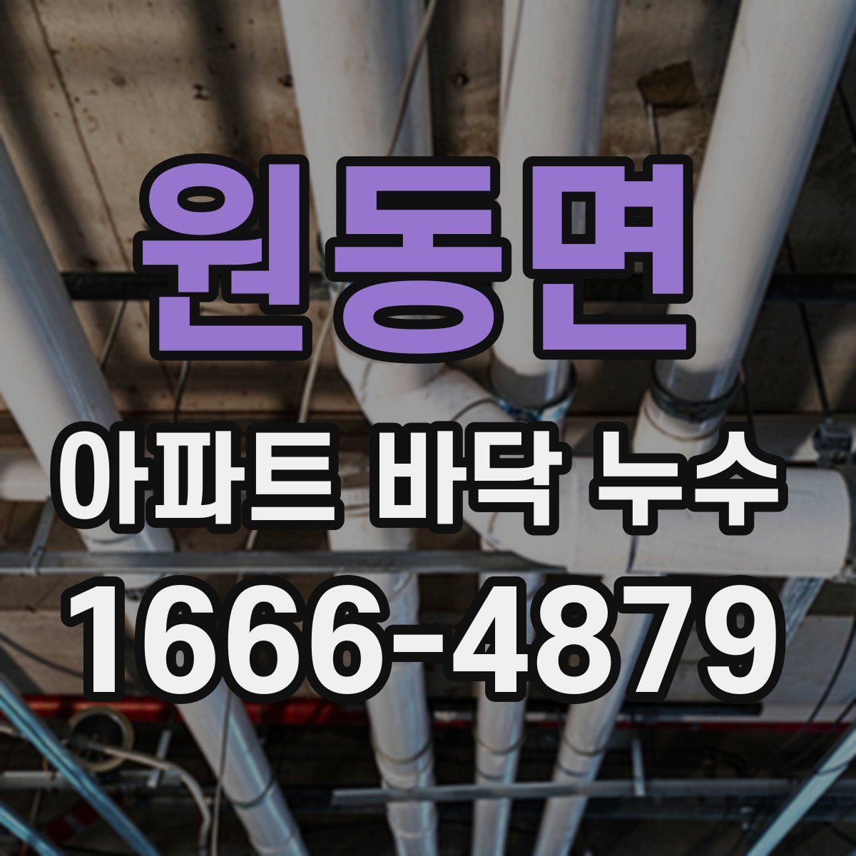 원동면 아파트 바닥 누수