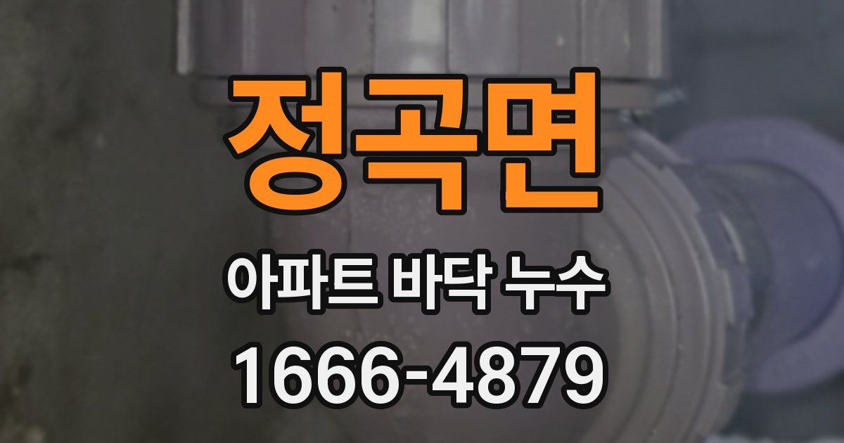 정곡면 아파트 바닥 누수