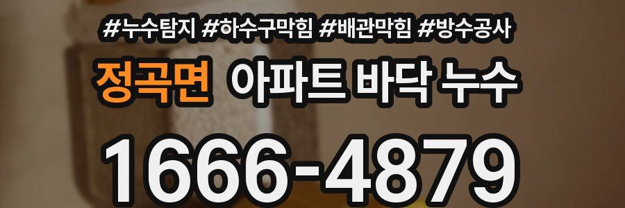 정곡면 아파트 바닥 누수