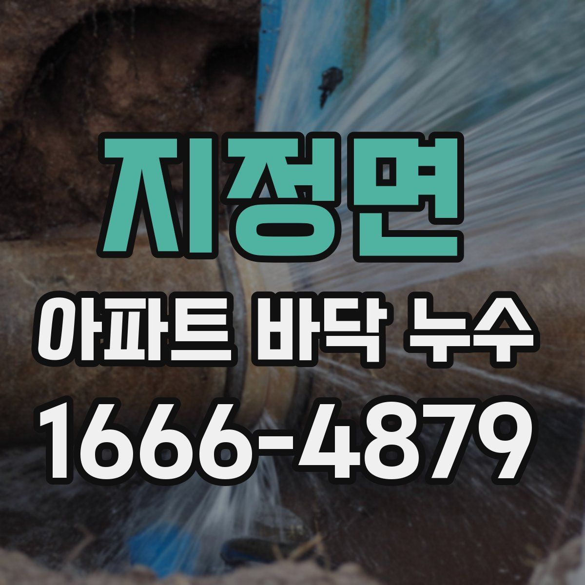 지정면 아파트 바닥 누수