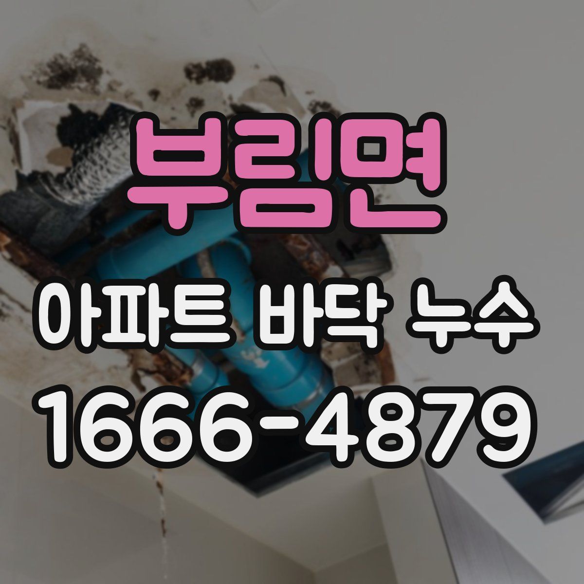 부림면 아파트 바닥 누수