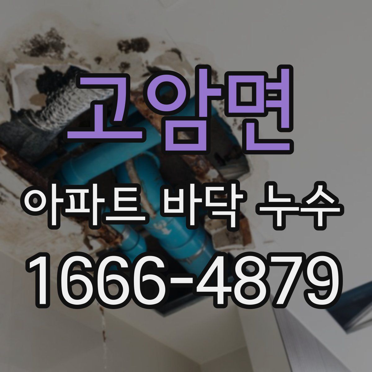 고암면 아파트 바닥 누수