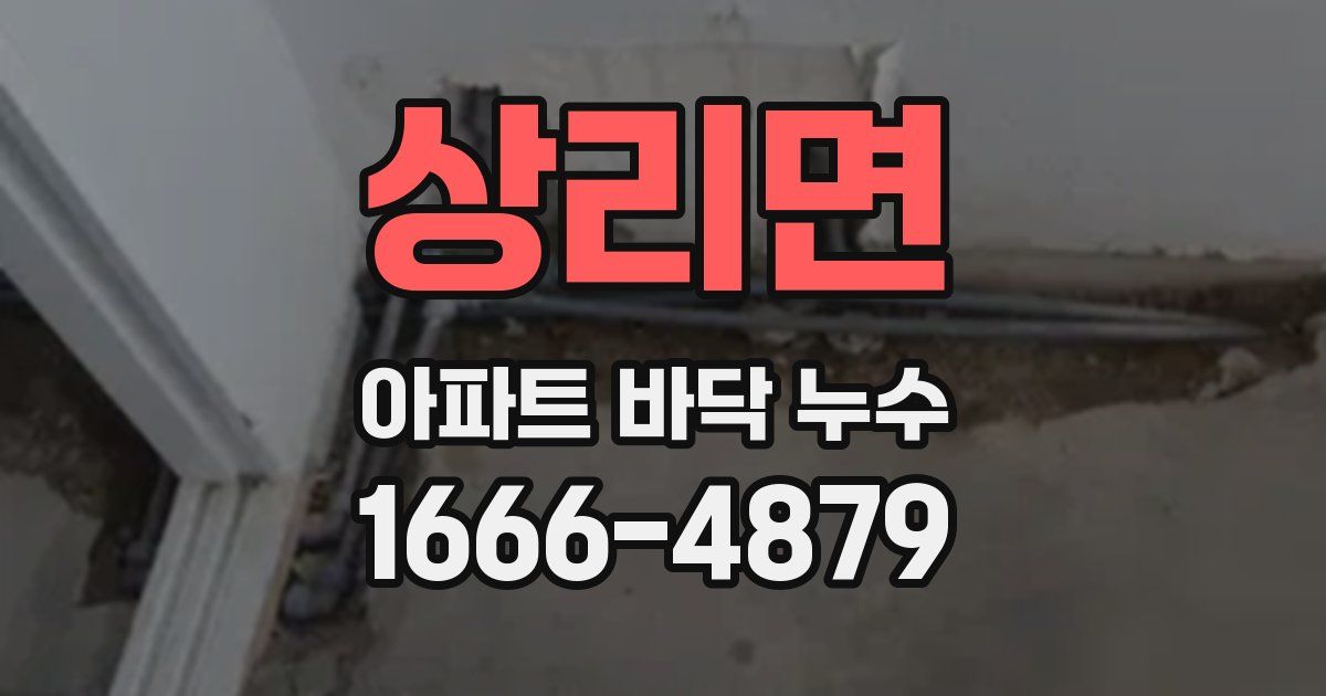 상리면 아파트 바닥 누수