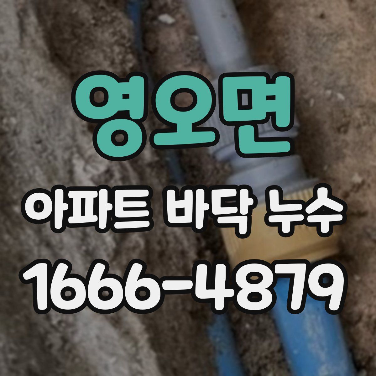 영오면 아파트 바닥 누수