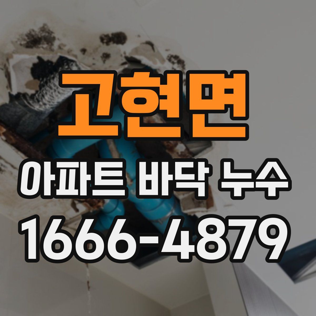 고현면 아파트 바닥 누수