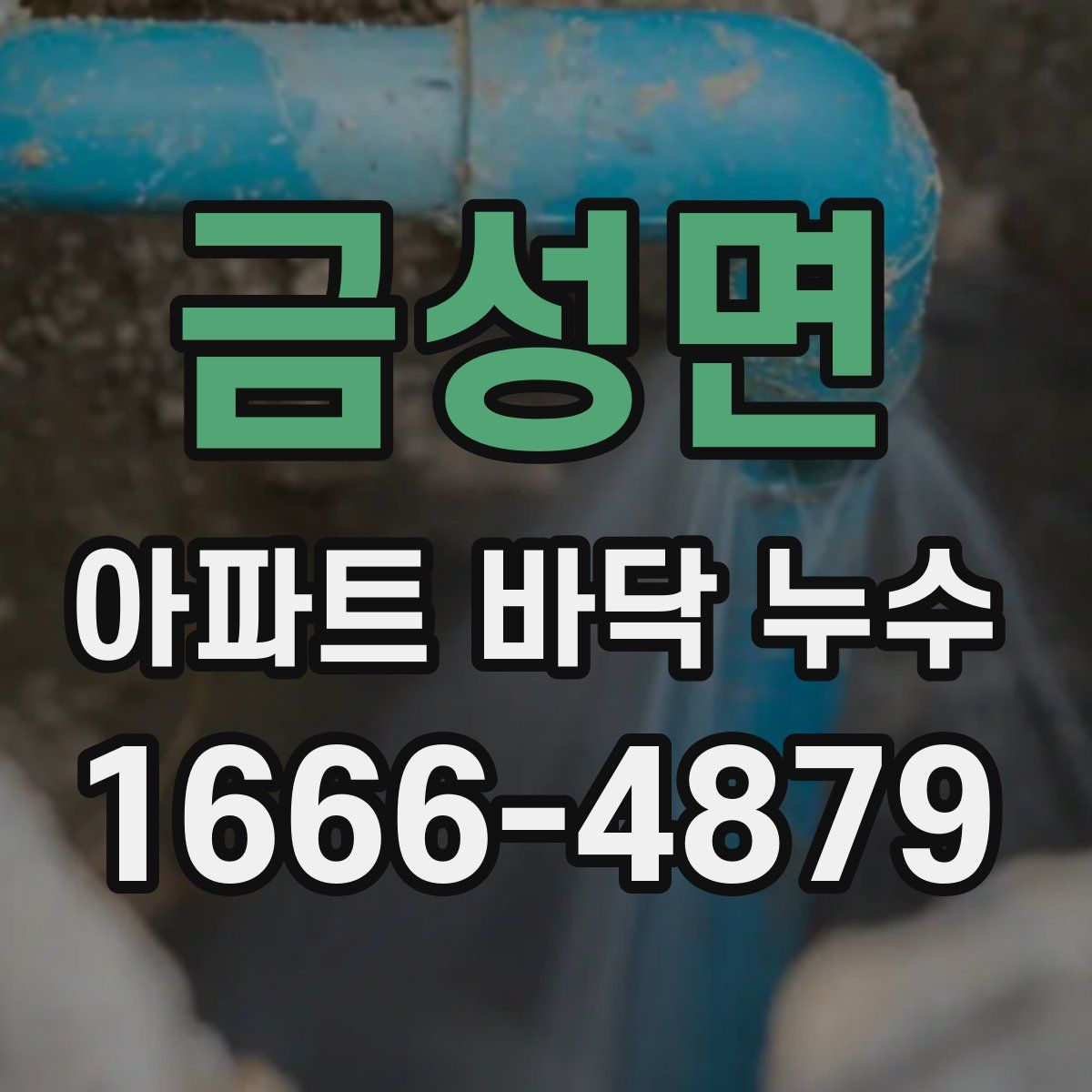 금성면 아파트 바닥 누수