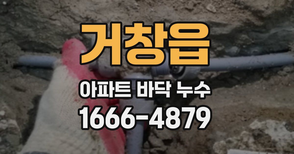 거창읍 아파트 바닥 누수