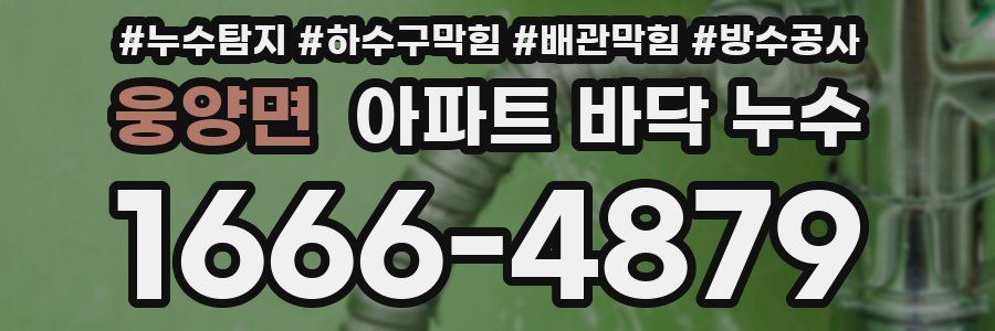 웅양면 아파트 바닥 누수