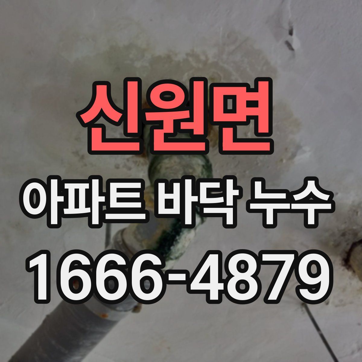 신원면 아파트 바닥 누수