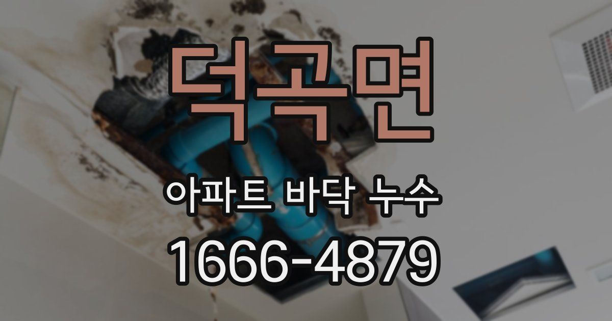 덕곡면 아파트 바닥 누수
