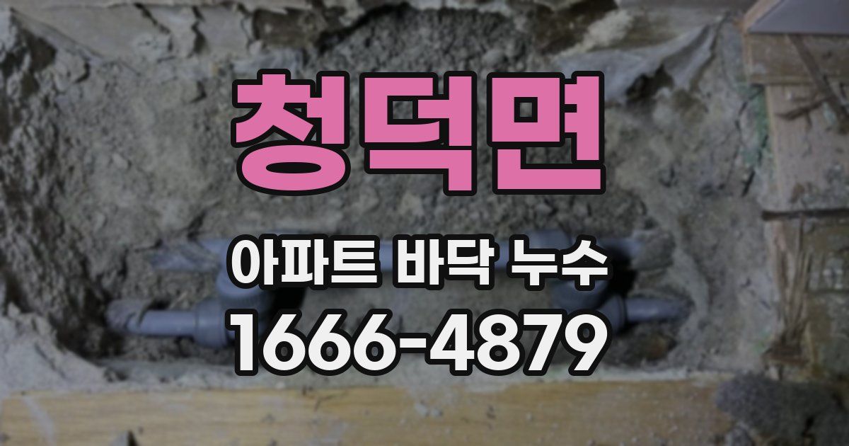 청덕면 아파트 바닥 누수