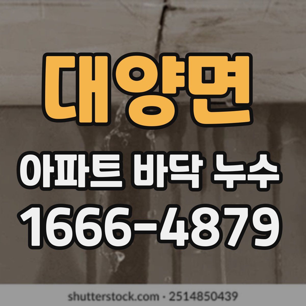 대양면 아파트 바닥 누수