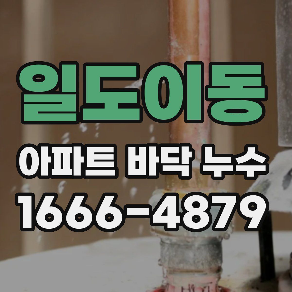 일도이동 아파트 바닥 누수